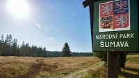 Národní park Šumava chystá pozorovatelny na zvířata