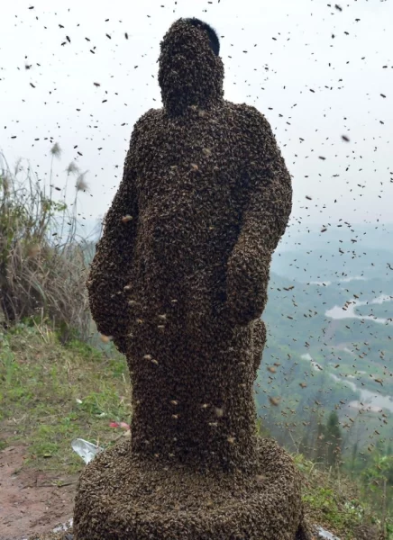 Muž se nechal pokrýt 460 tisíci včelami