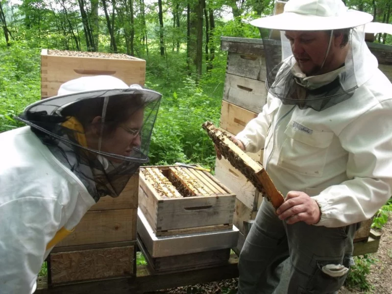 V Česku jsou pouze 2 školy, které nabízejí obor včelař