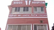 V Indii existuje ptačí nemocnice