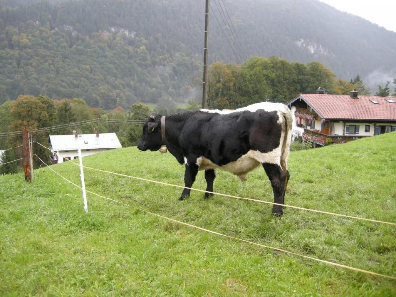 Zprovozňujeme elektrický ohradník po zimě