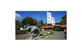 Ostravská zoo zřejmě zdědí statisíce, raduje se i ze slůněte a rekordu