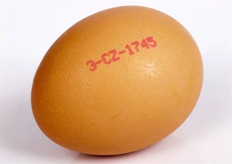 Je zdravější bio, omega, či obyčejné vejce?