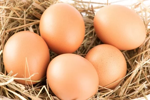 Je zdravější bio, omega, či obyčejné vejce?