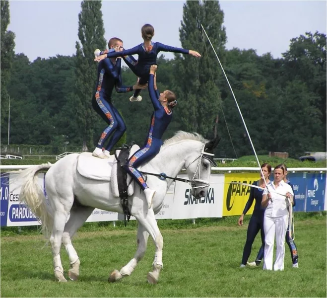 Jezdecký sport