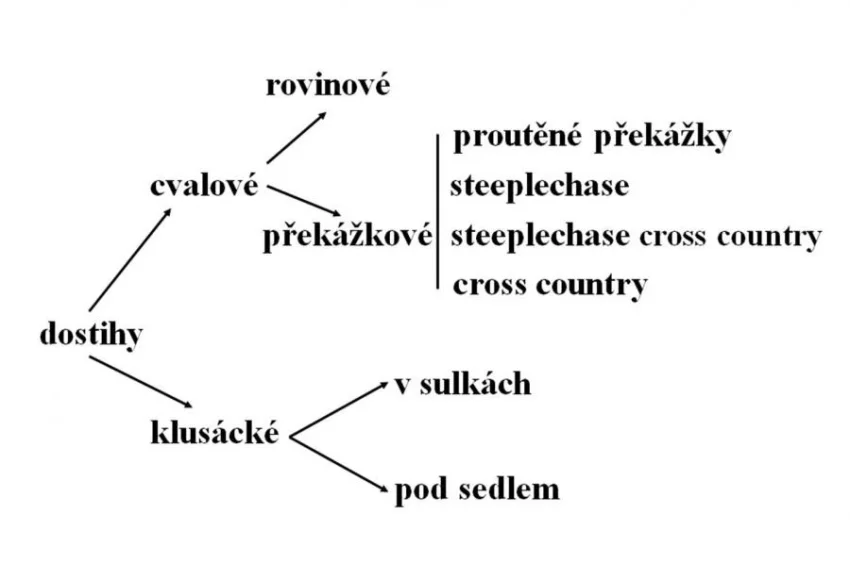 Rozdělení dostihů podle výkonnostních kritérií