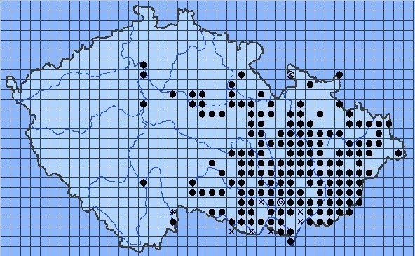 Výskyt kudlanky na území České republiky