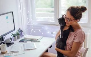 34 % Čechů vlastní kočku. Víte, jak ji správně vychovat a krmit?