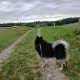 Obrázek