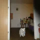 Jessy aportíkuje u táty v bytě