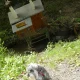 Obrázek