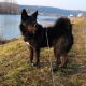 Obrázek