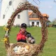 Obrázek