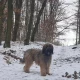 Obrázek