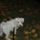 Jessy na ranní