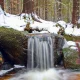 Obrázek