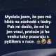 Obrázek