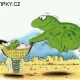 Obrázek