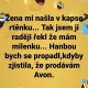 Obrázek