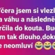 Obrázek