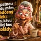 Obrázek