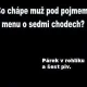 Obrázek
