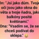 Obrázek