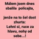 Obrázek