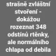 Obrázek