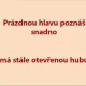 Obrázek