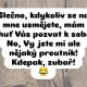 Obrázek