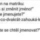 Obrázek