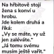Obrázek