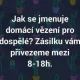 Obrázek