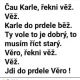 Obrázek