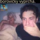 Obrázek