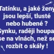 Obrázek