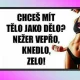 Obrázek