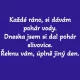 Obrázek