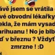 Obrázek