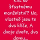 Obrázek