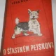 Obrázek