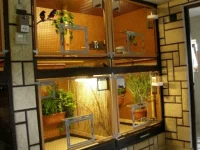 Vnitřní voliery chov p.Gajdoše