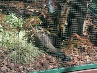 Wogelpark Walsrode duben 2013