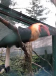 Wogelpark Walsrode duben 2013