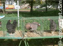 Chovatelský den Třebíč