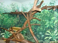 Vnitřní ubikace pro oceloty