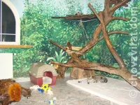 Vnitřní ubikace pro oceloty