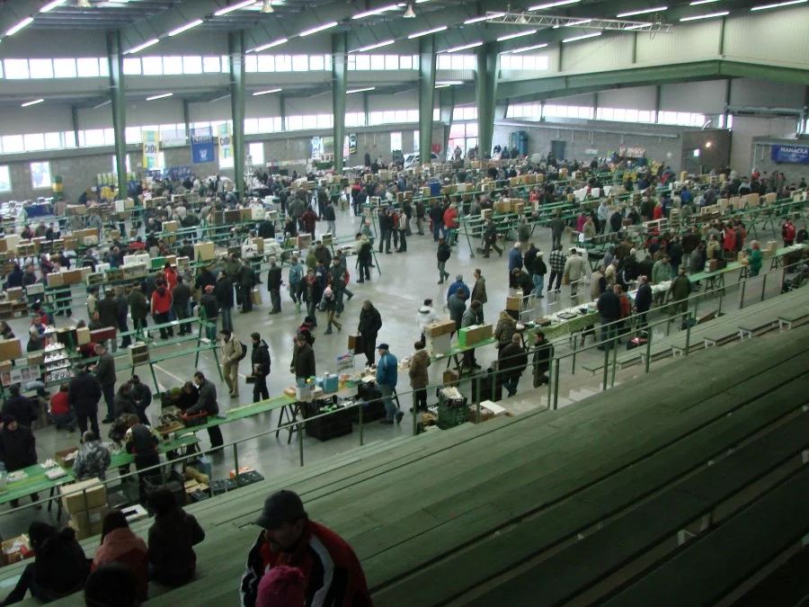 Burzy exotického ptactva