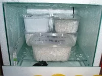 Inkubátory na plazy